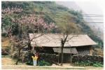 ha-giang-loop-in-February.jpg