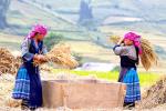 hoang-su-phi-vietnam-1.jpg