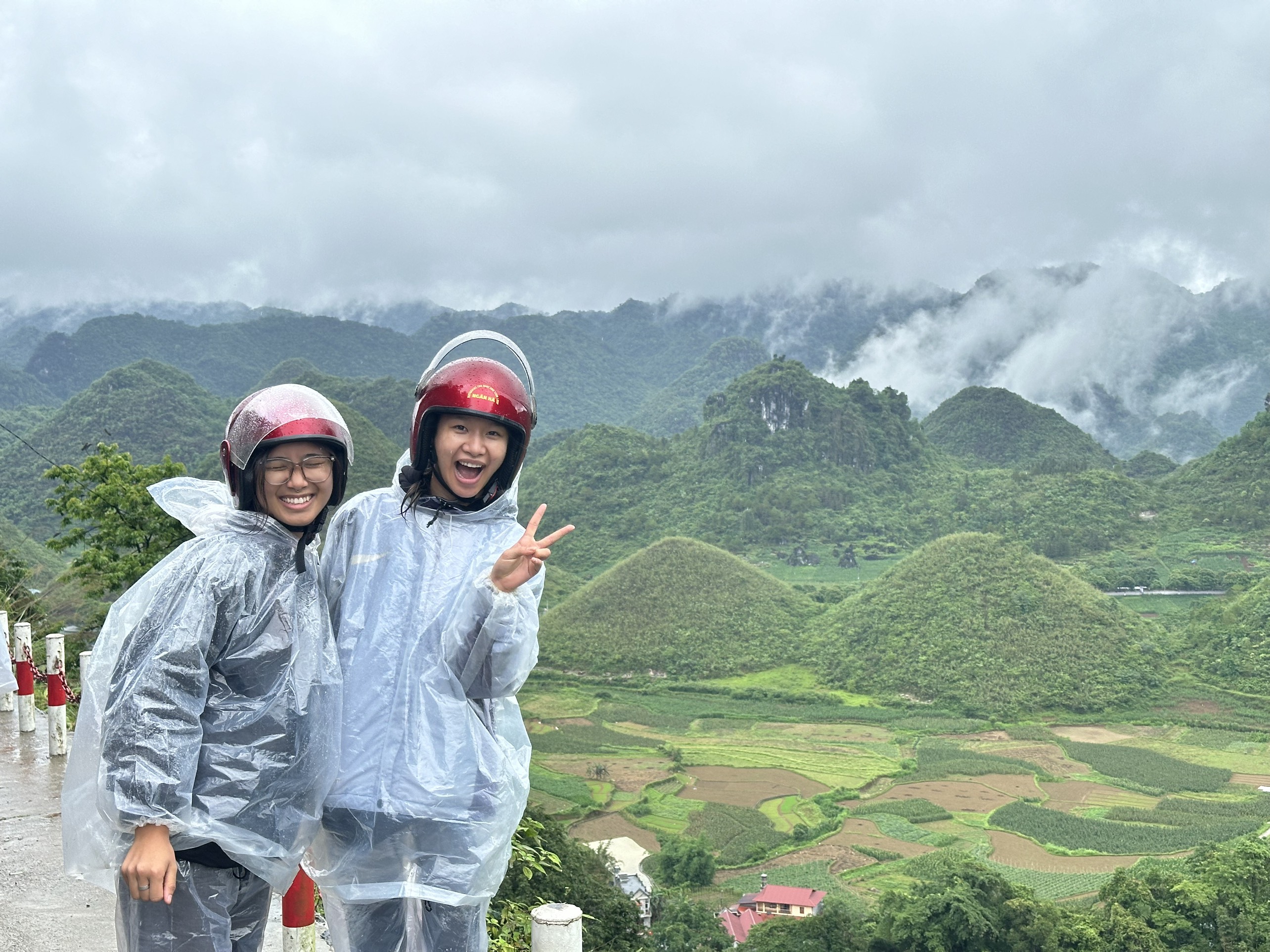 Copy of HG 11 (1).jpg