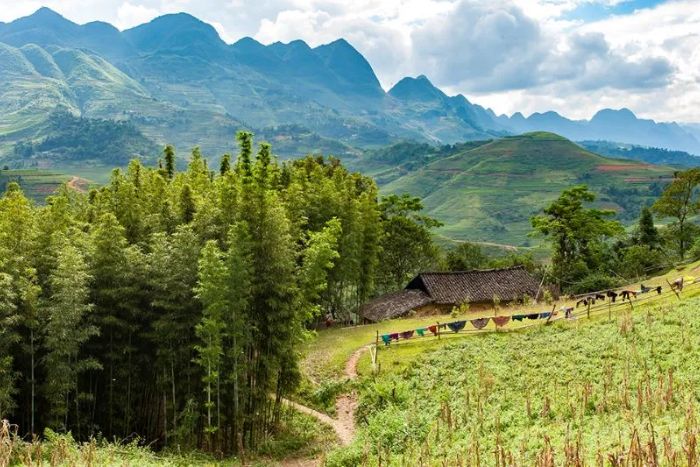 Yen Minh: A Practical Lunch Stop on the Ha Giang Loop Yen Minh: A Practical Lunch Stop on the Ha Giang Loop